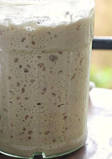 Sourdough-Starter.jpg