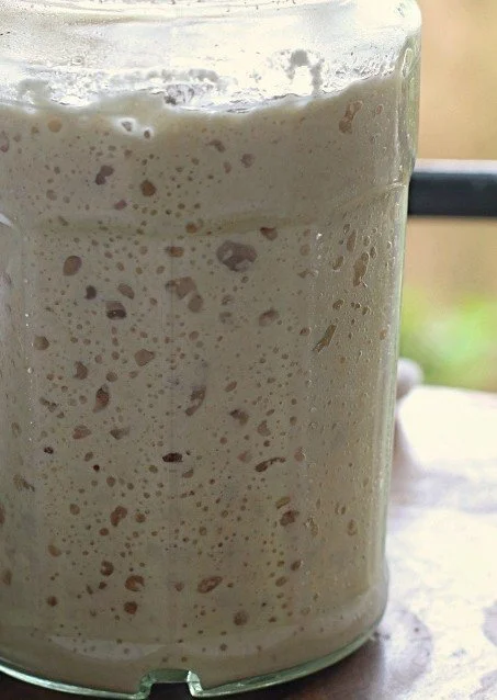 100% organic sourdough starter
