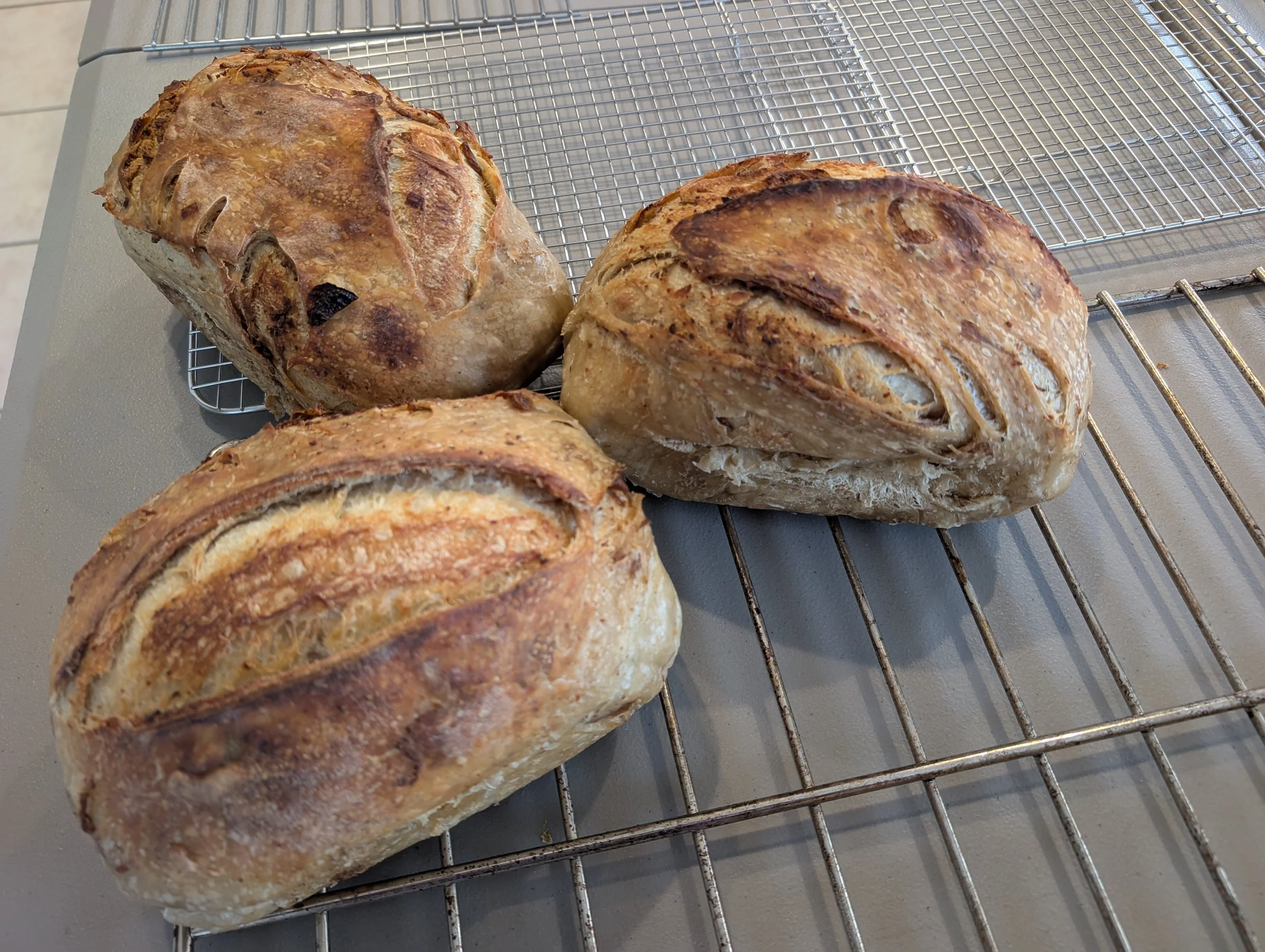Caramelized Onion Sourdough