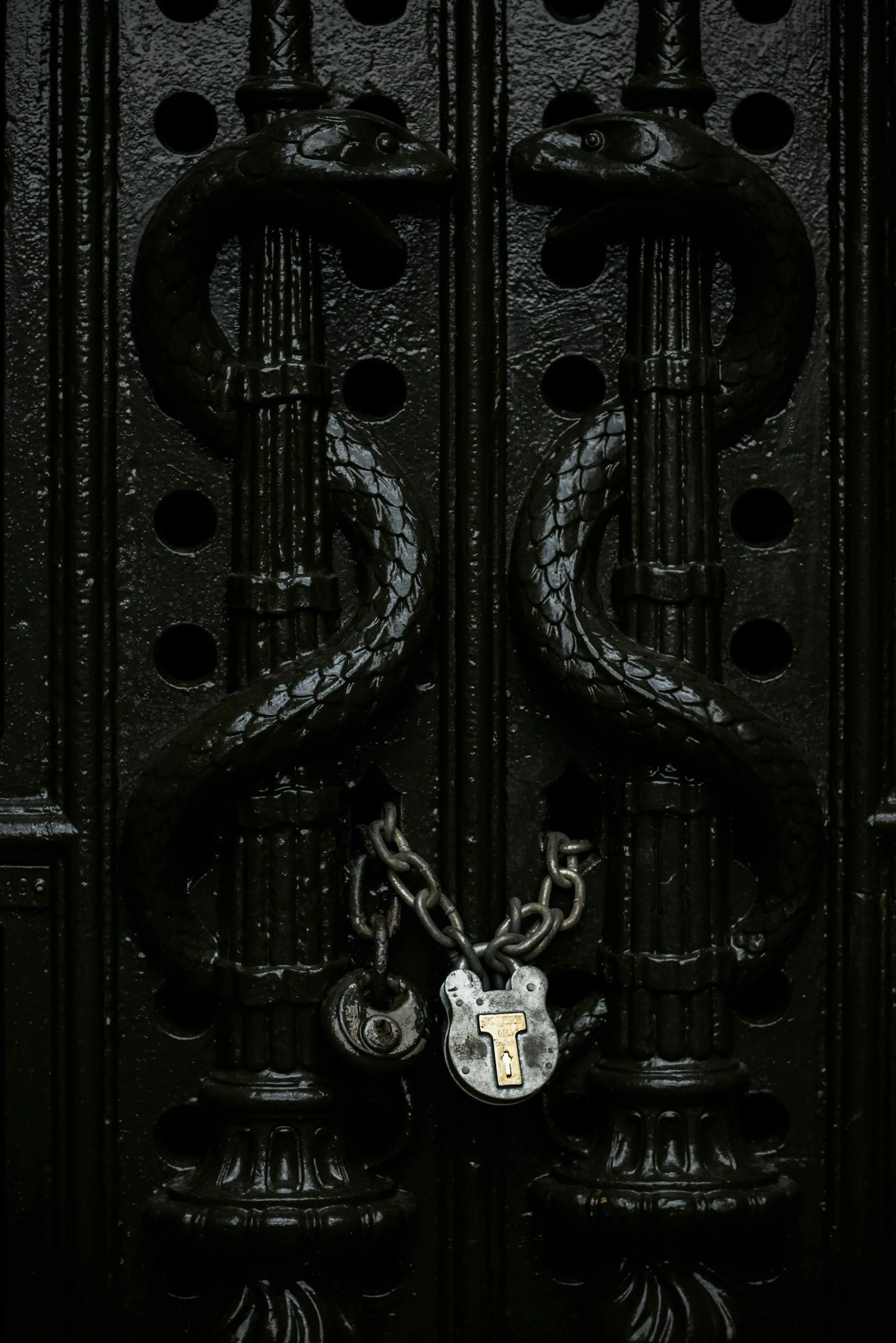 Black iron door featuring snake-shaped handles and a chain with a padlock for security.