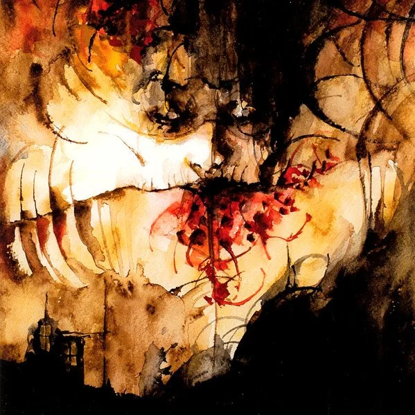 Shining "IX - Everyone, Everything, Everywhere, Ends" CD