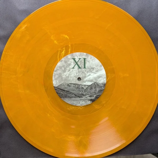 Amarok – Resilience.jpg