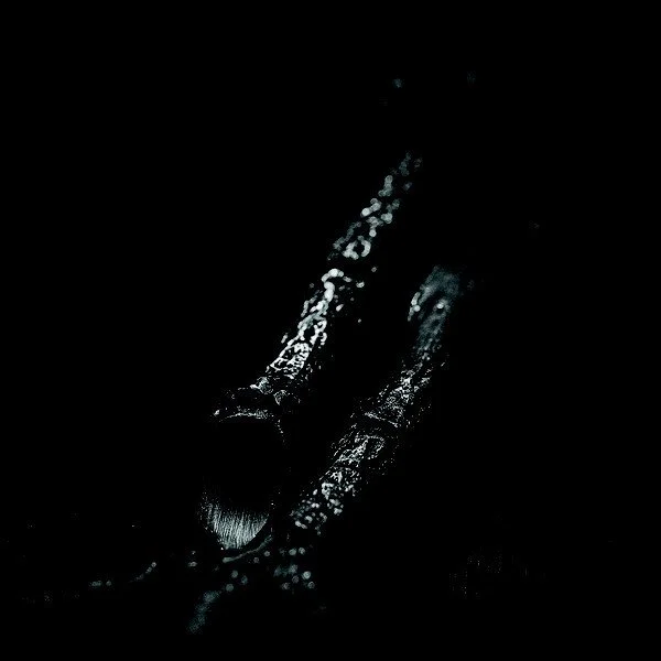 Trepaneringsritualen – ᛉᛦ – Algir; Eller Algir I Merkstave.jpg (Copy)