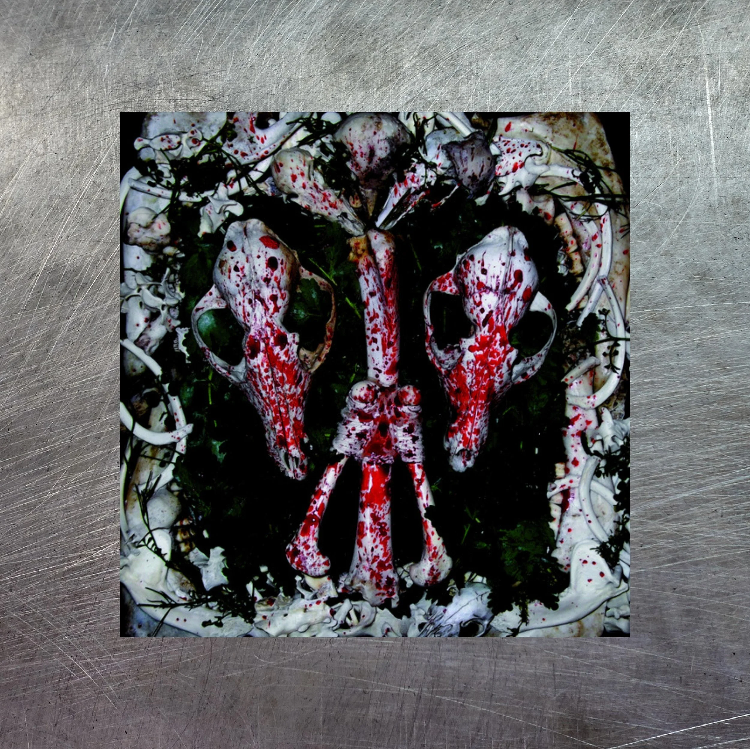 INSTINCT "An Auroral Gathering Of Skulls" CD