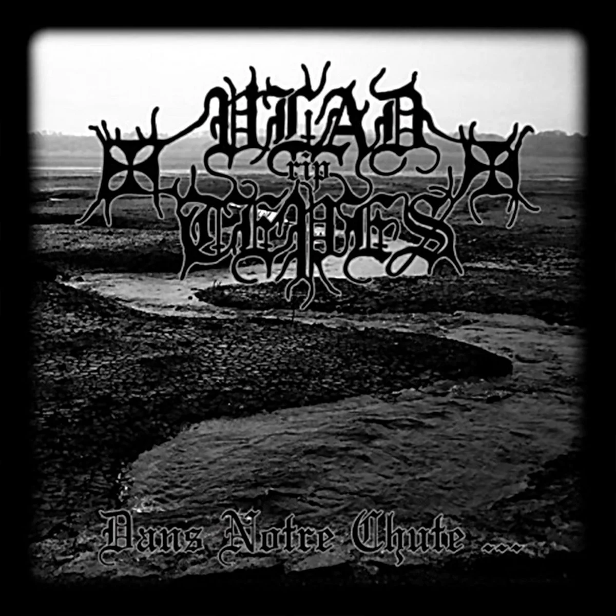 VLAD TEPES "Dans Notre Chute..." CD