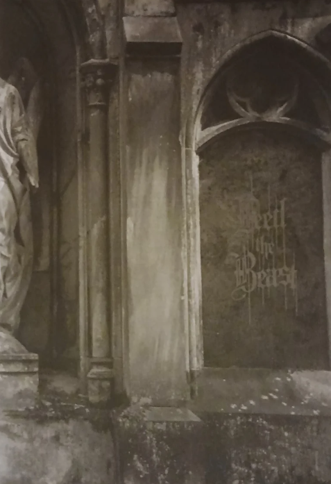 FEED THE BEAST Issue #3