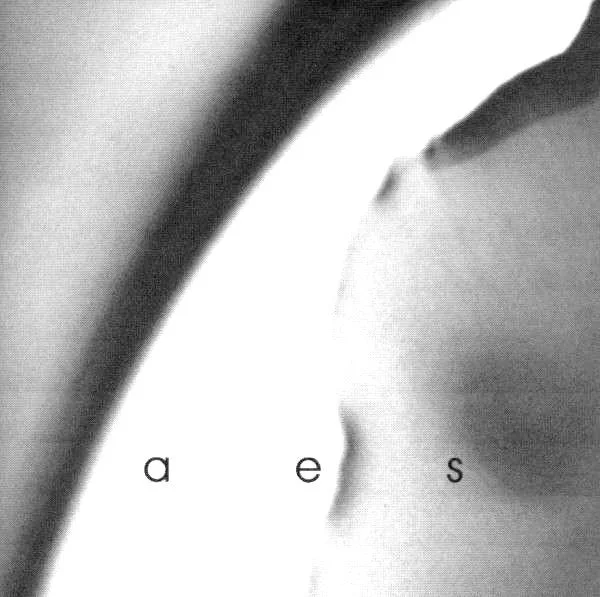 Skepticism – Aes CD.jpg