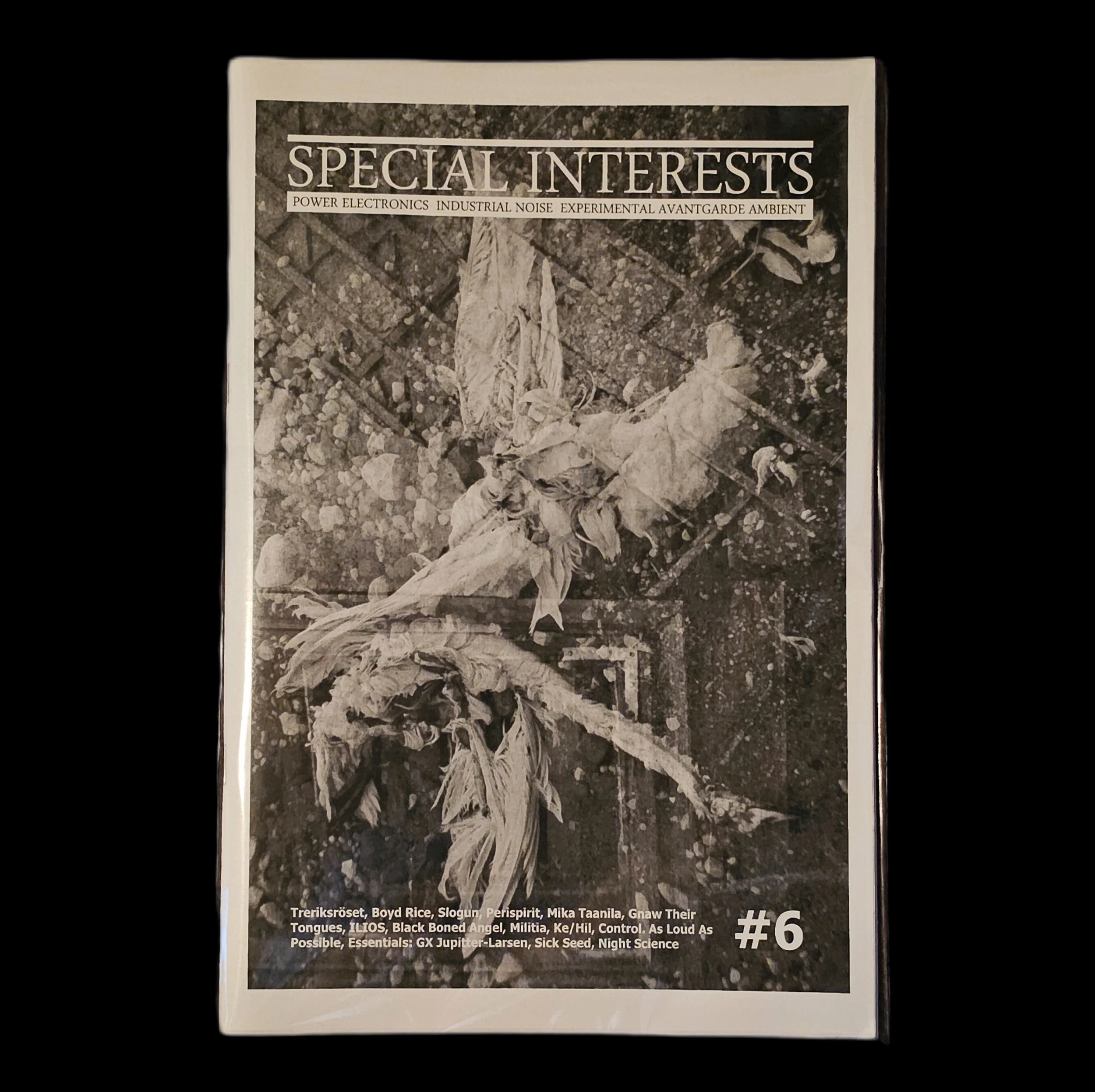 SPECIAL INTERESTS Issue #6