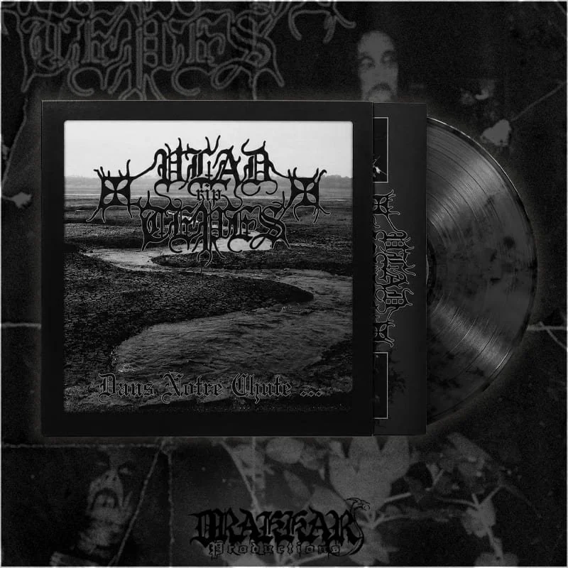 VLAD TEPES "Dans Notre Chute..." LP
