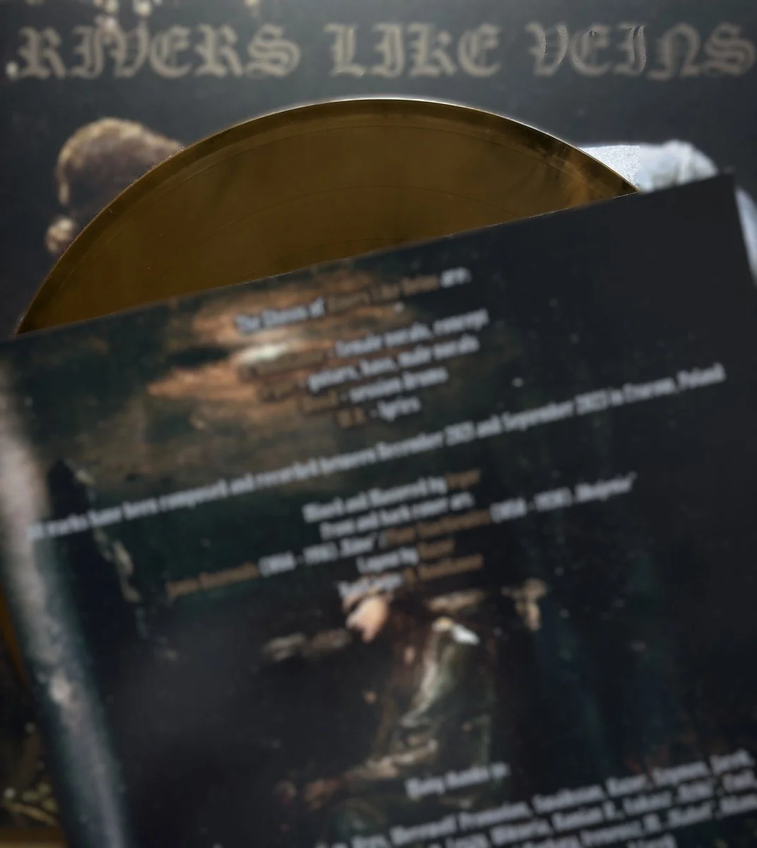 Rivers Like Veins – Architektura Przemijania LP BROWN.jpg