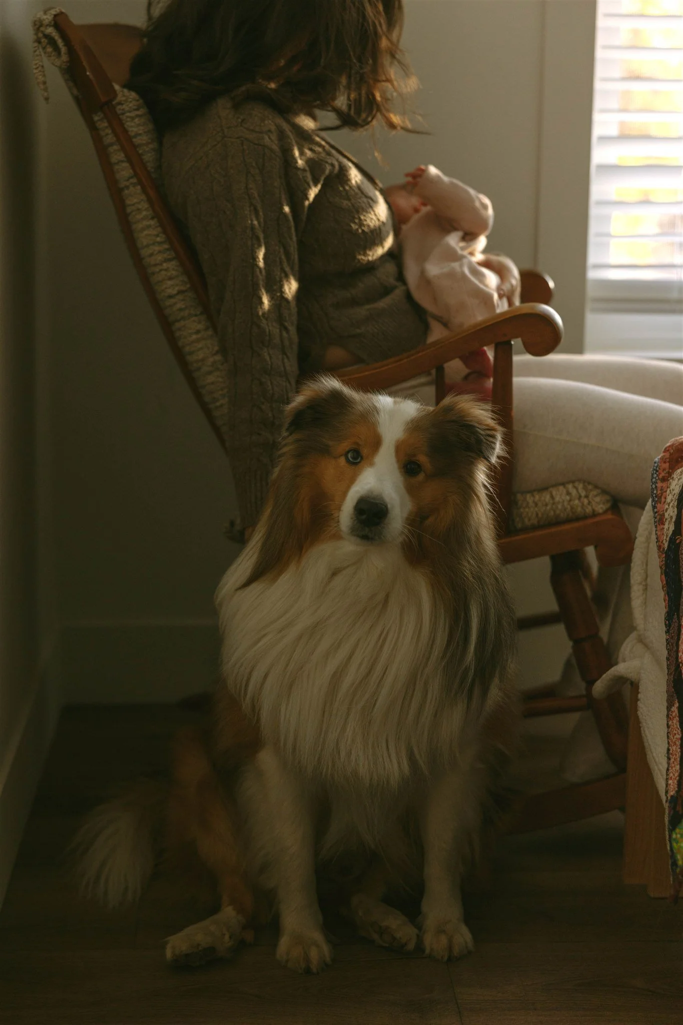 AR7A6912_websize 2.JPG