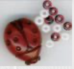 Don't Bug Me,
SV-CP289
Suggested Retail Price: $10.00