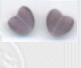 Teenie Grapes Fob,
SV-CP287
Suggested Retail Price: $6.00