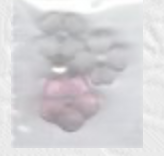 Teenie Hoppy Easter,
SV-CP474
Suggested Retail Price: $6.00