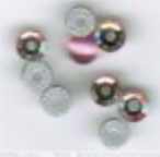 Nantucket Rose,
SV-CP378
Suggested Retail Price: $6.00