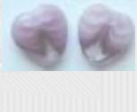 Amethyst Porphyr Crystal Heart,
SV-CP212
Suggested Retail Price: $6.00