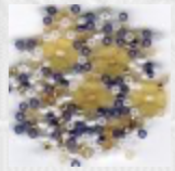 The Earth Laughs In Flowers,
SV-CP356
Suggested Retail Price: $10.00