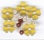 Country Flowers,
SV-CP417B
Suggested Retail Price: $6.00