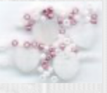 Pink Carnations,
SV-CP301
Suggested Retail Price: $10.00