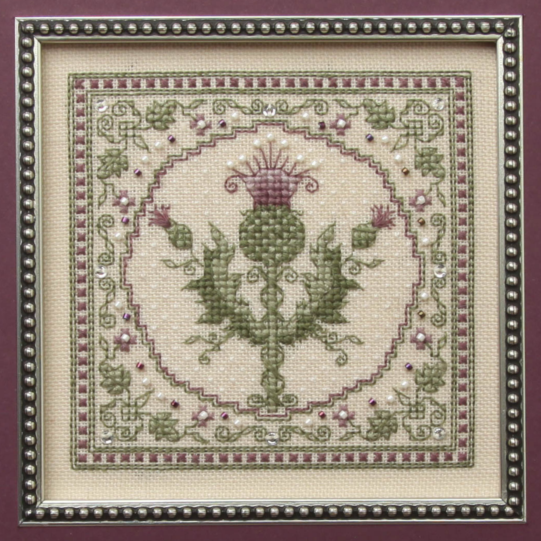 scottish thistle.png