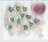 Tiny Alphabet Sampler,
SV-CP311
Suggested Retail Price: $10.00