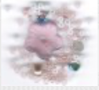 English Garden Rose,
SV-CP441
Suggested Retail Price: $10.00