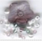 Baby Violets,
SV-CP414
Suggested Retail Price: $10.00