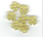 Count Your Blessings/Give Thanks,
SV-CP465
Suggested Retail Price: $6.00