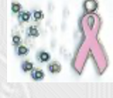 Find the Cure!
SV-CP304
Suggested Retail Price: $12.00