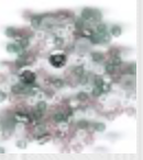 Wishes For You...#5 Patience,
SV-CP436
Suggested Retail Price: $10.00