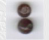 Dragonfly Dreams,
SV-CP375
Suggested Retail Price: $6.00