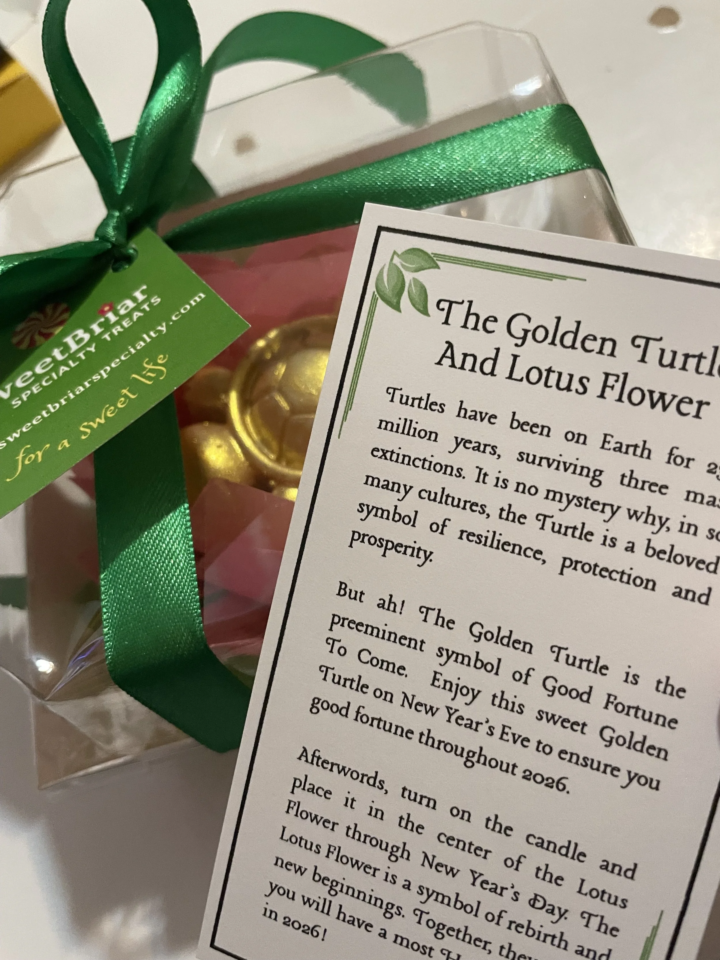 Golden Turtle of Good Fortune  - Set of 4