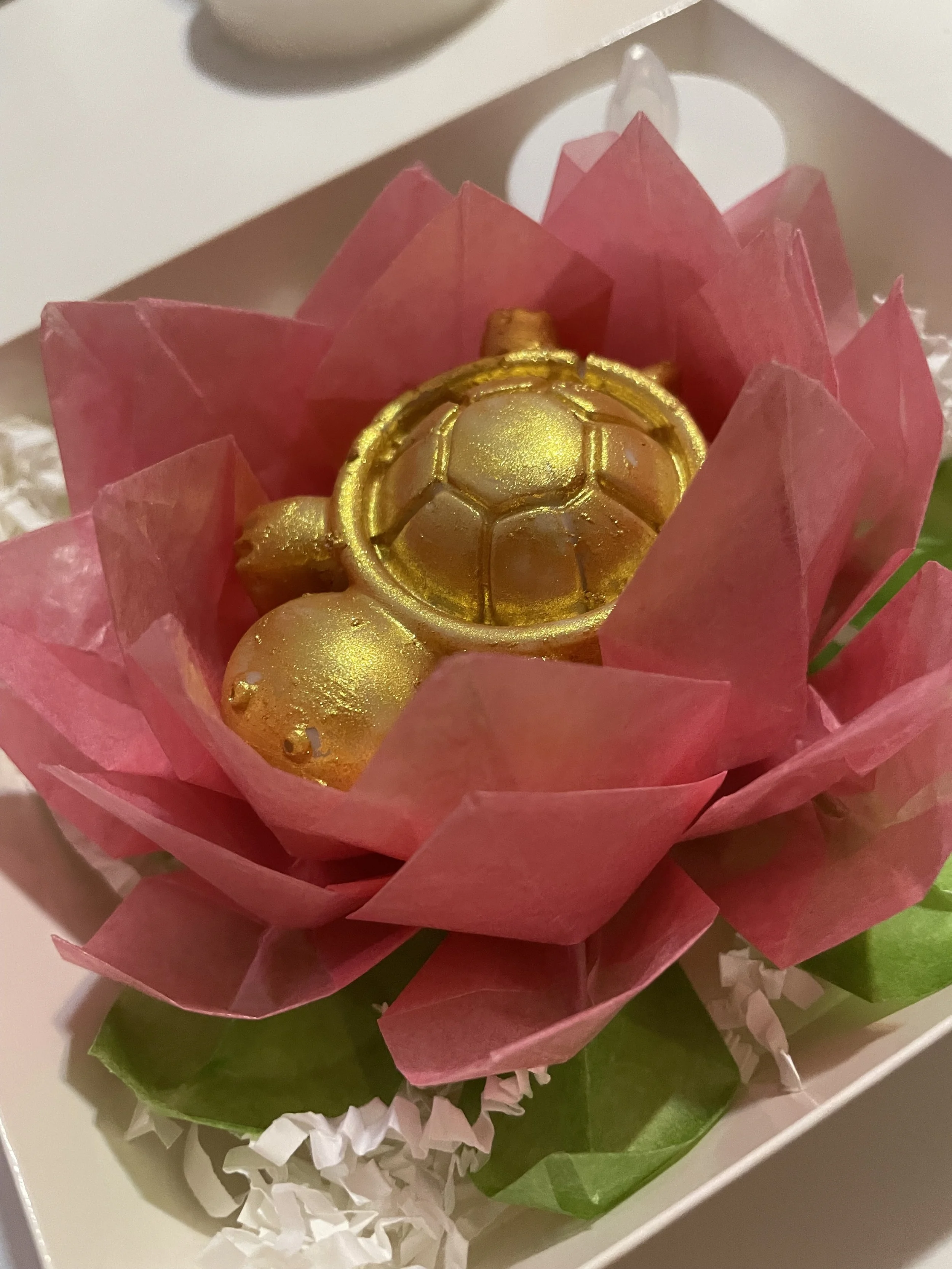 Golden Turtle Lotus 3.jpg