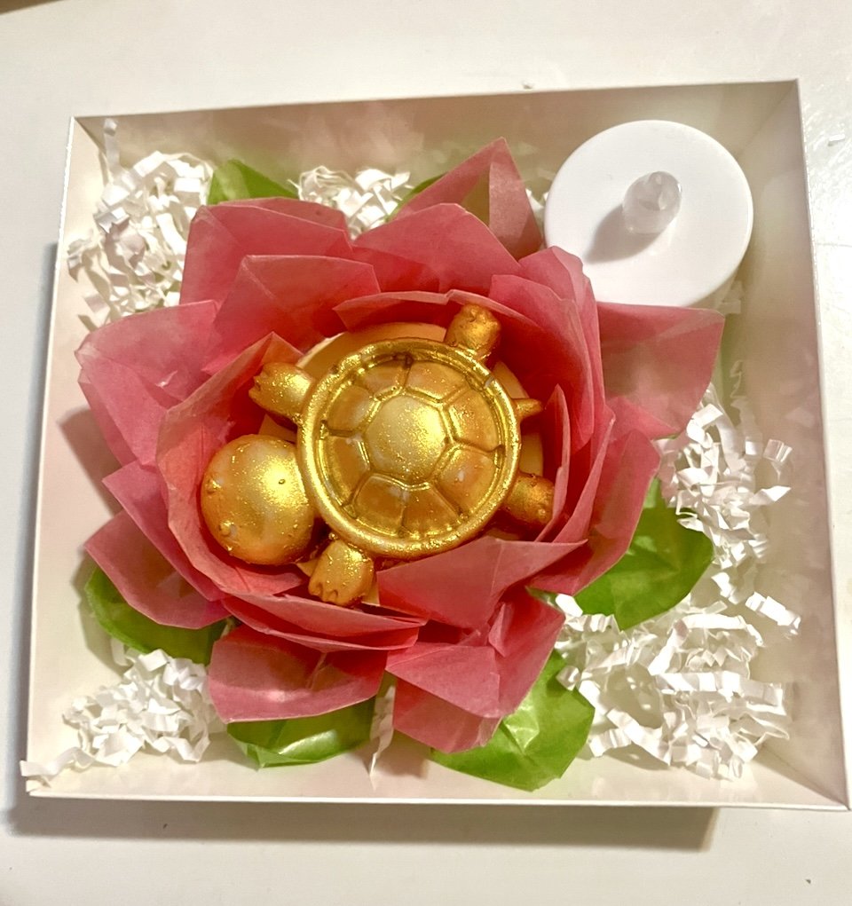 Golden Turtle Above.jpg