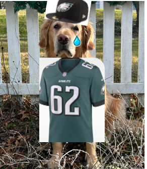 Ranking Every Eagles Playoff Loss by Postgame Depression Since I’ve Been a Fan: Part 1
