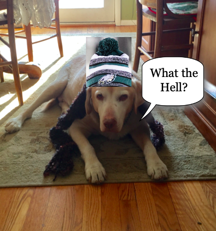 Ranking Every Eagles Playoff Loss by Postgame Depression Since I’ve Been a Fan: Part 2