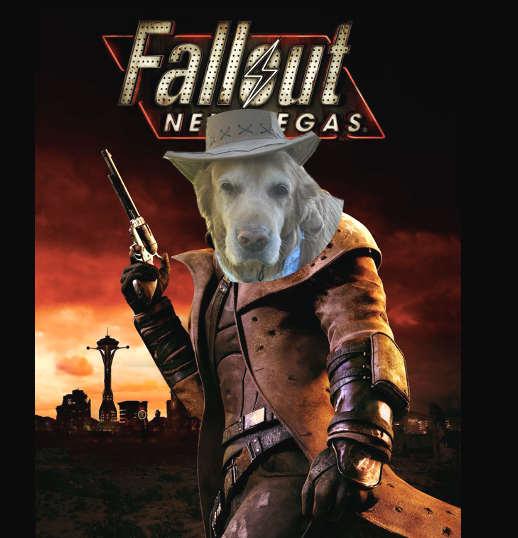 Fallout New Vegas