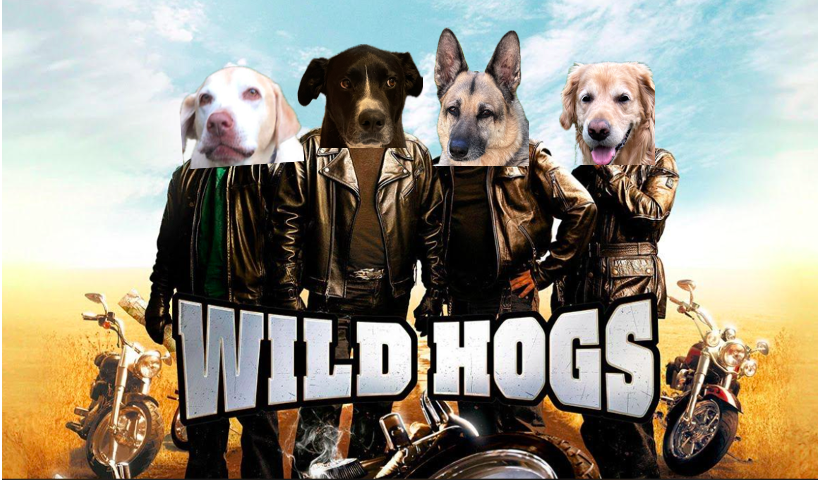 Wild Hogs Review