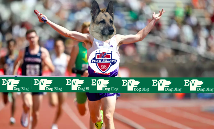 Ev Dog Blog Travelogue II: The 2026 Penn Relays