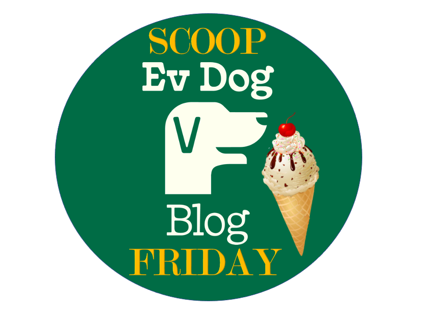 Coming This Summer: Scoop Friday