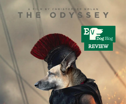 The Odyssey Review