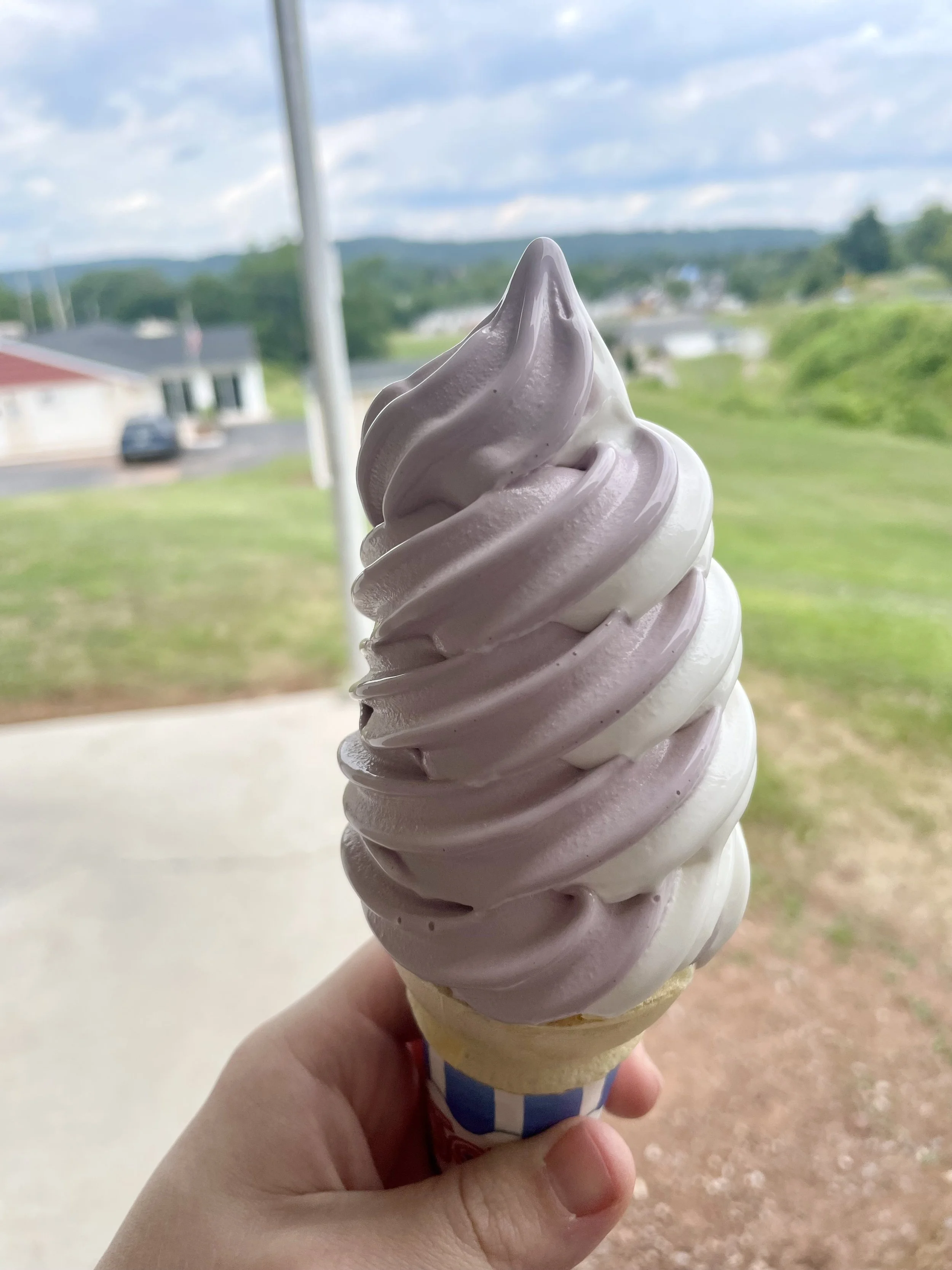 Scoop Friday: Reeser’s Soft Ice Cream – Black Raspberry &amp; Vanilla Twist