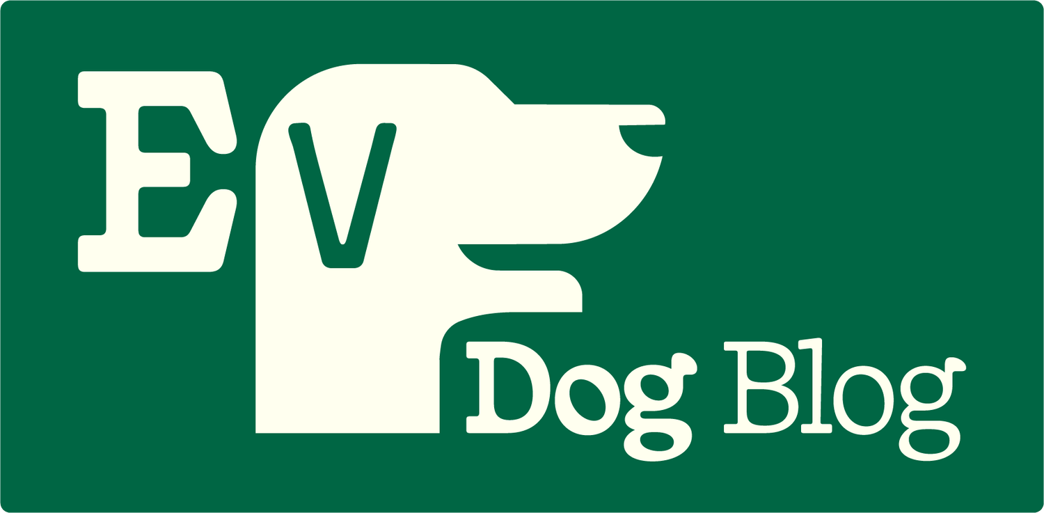 Ev Dog Blog