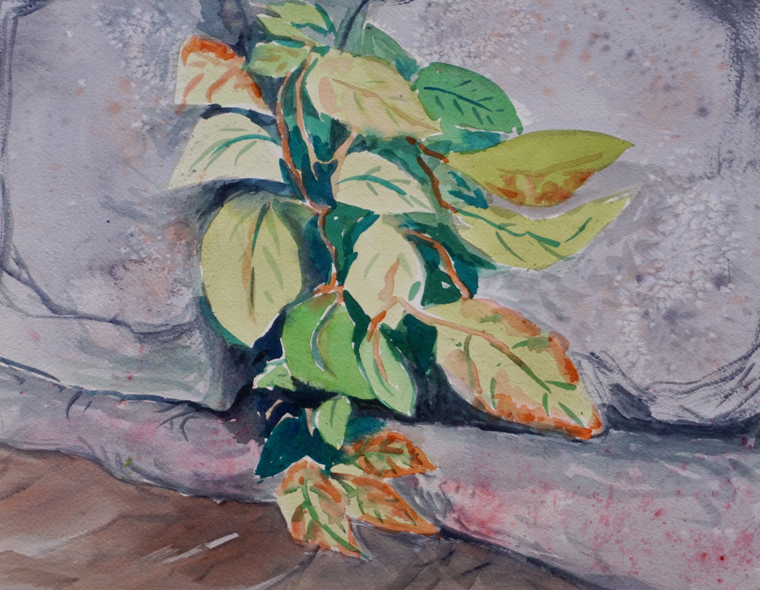 “Infrastructure bathing”