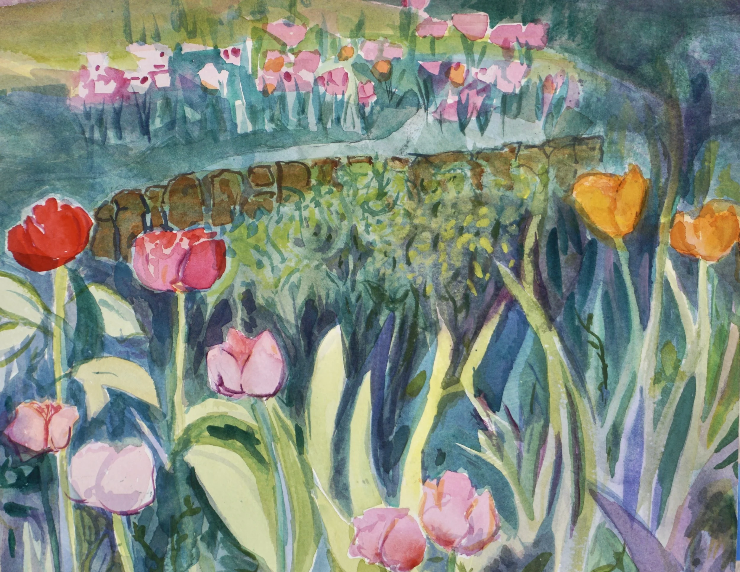 Is urban nature (basically) all the same?