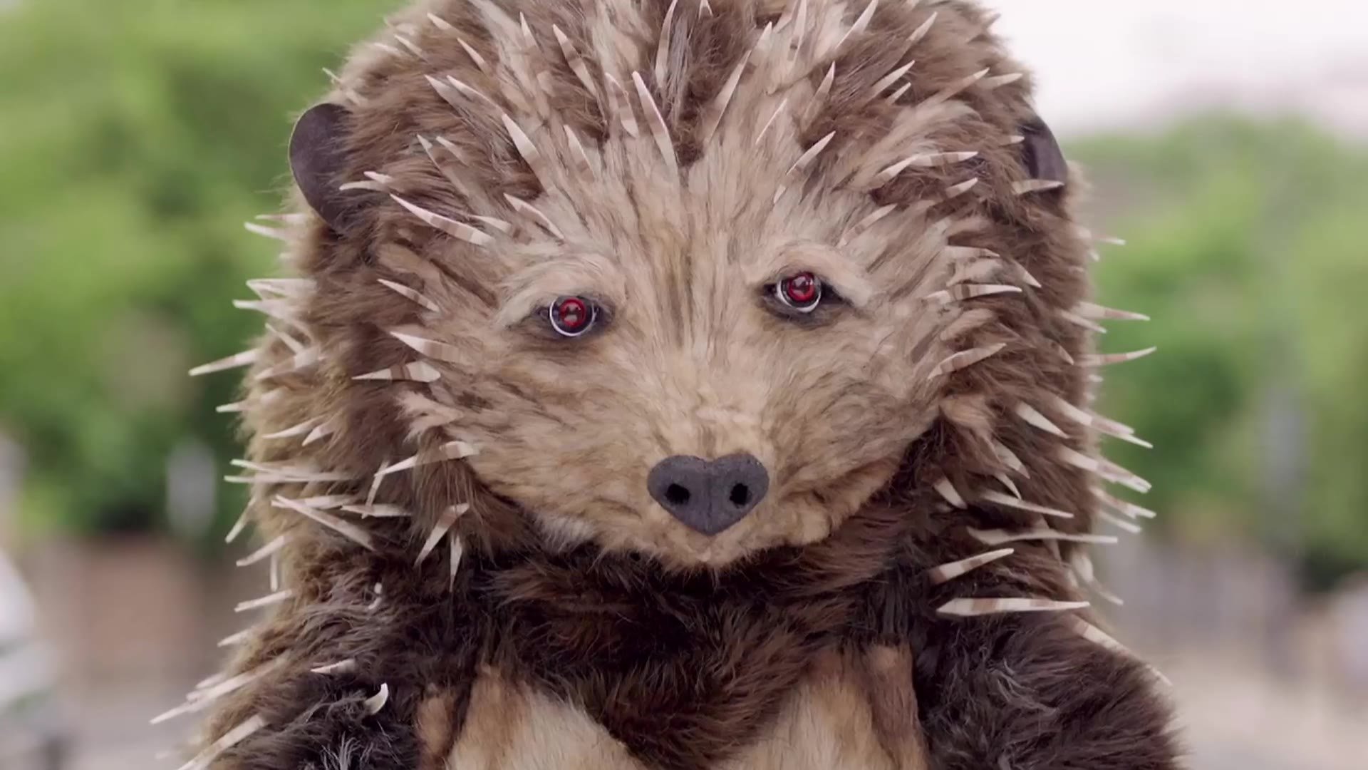 tempcover-temporary-car-insurance-advert-hedgehog-puppet.jpg
