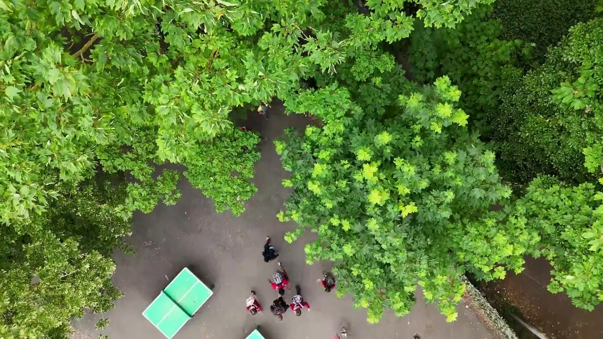 education-video-production-preroll-still.jpg