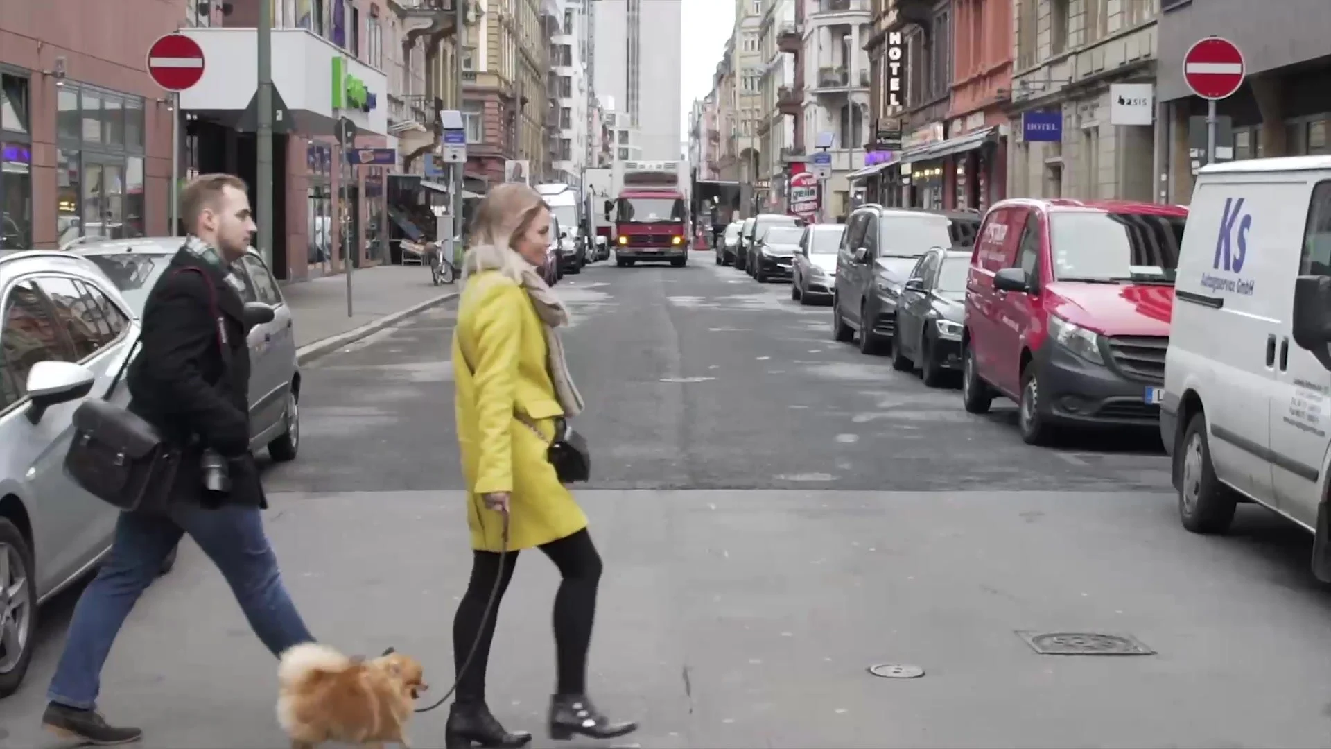 Creator walking a small dog down a city street