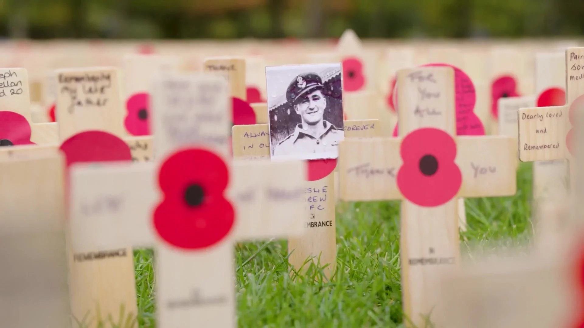 royal-british-legion-video-partner-preroll.jpg