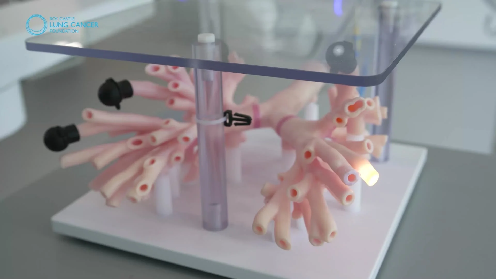 The camera reaching into the airway model